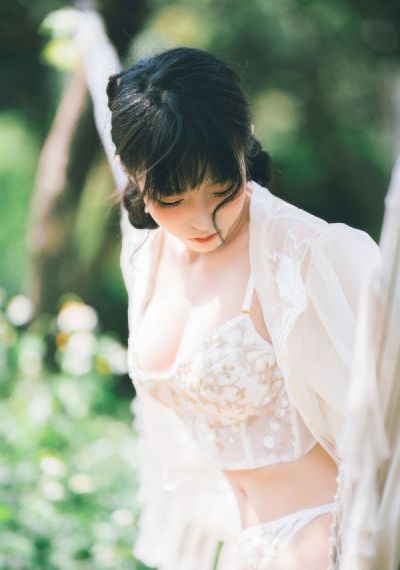 熊出没之猎鹰熊岛